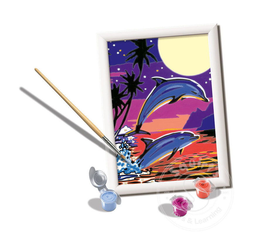 CreArt Paint by Numbers - Dolphin Adventures