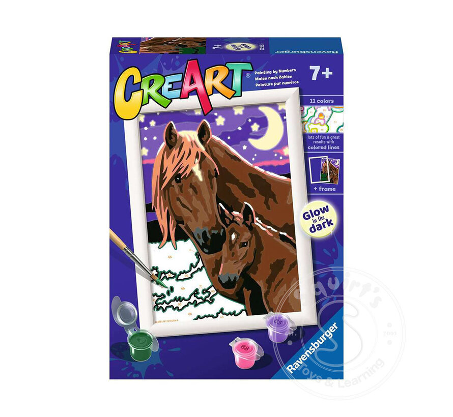 CreArt Paint by Numbers - Horses at Midnight