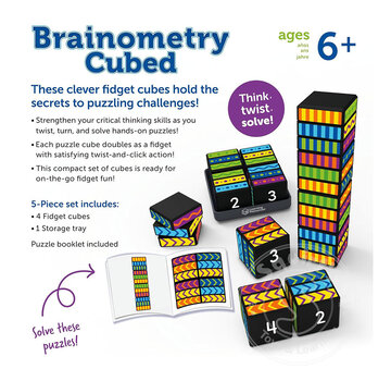 Educational Insights Brainometry Cubed