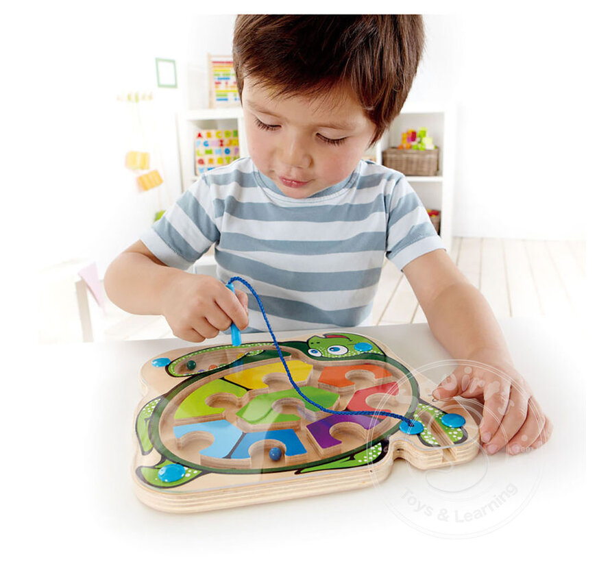 Hape Colorback Sea Turtle