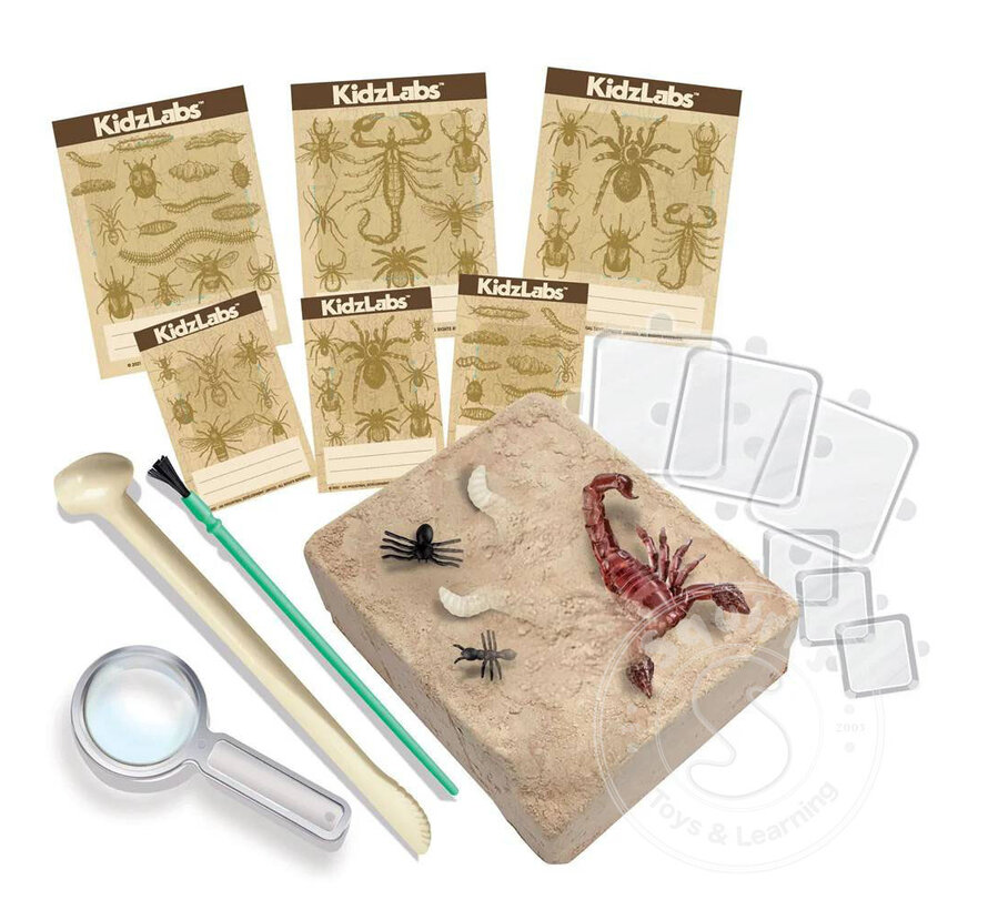 KidzLabs - Creepy Crawly Digging Kit