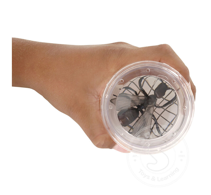 Magnifying Bug Viewer