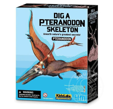 4M Dig a Pteranodon Skeleton