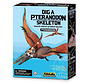 Dig a Pteranodon Skeleton