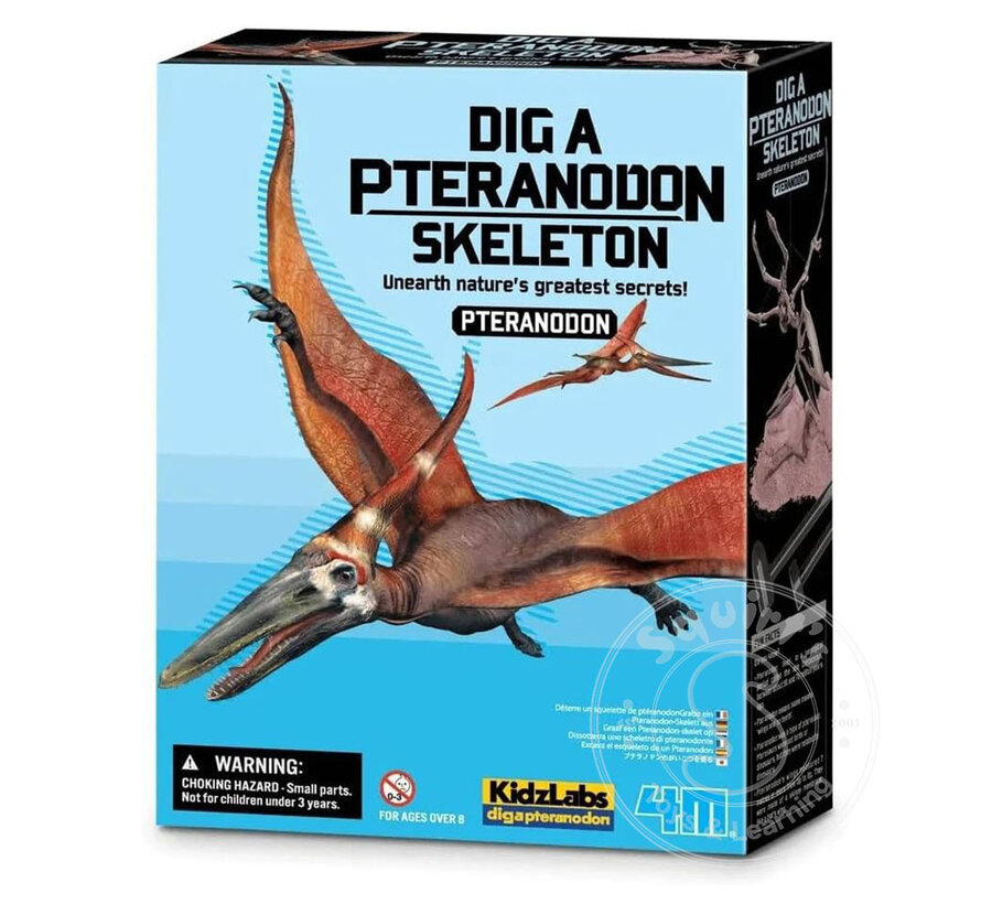 Dig a Pteranodon Skeleton