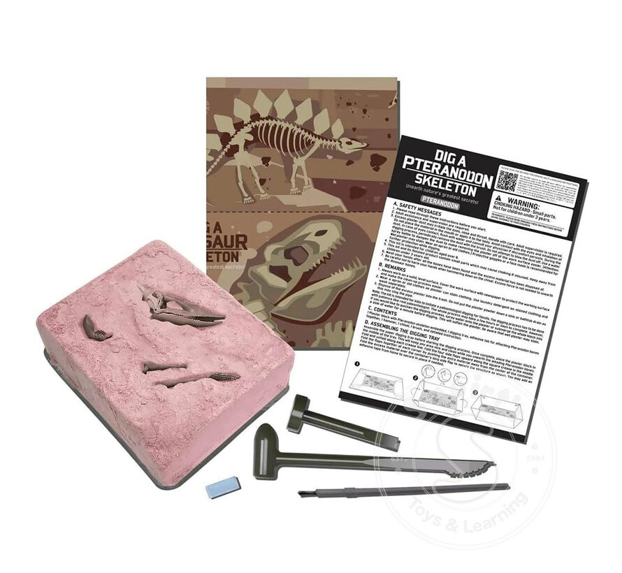 Dig a Pteranodon Skeleton