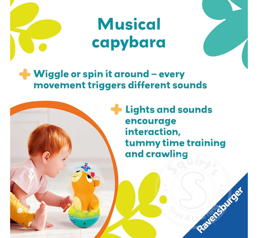 Push & Listen Roly Poly: Capybara