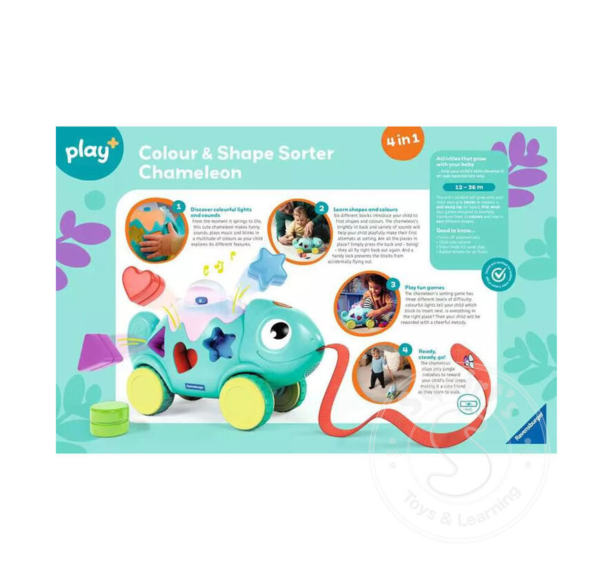 Color & Shape Sorter: Chameleon