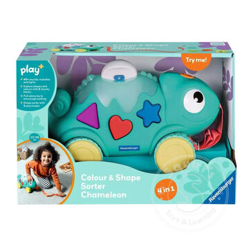 Play+ Color & Shape Sorter: Chameleon