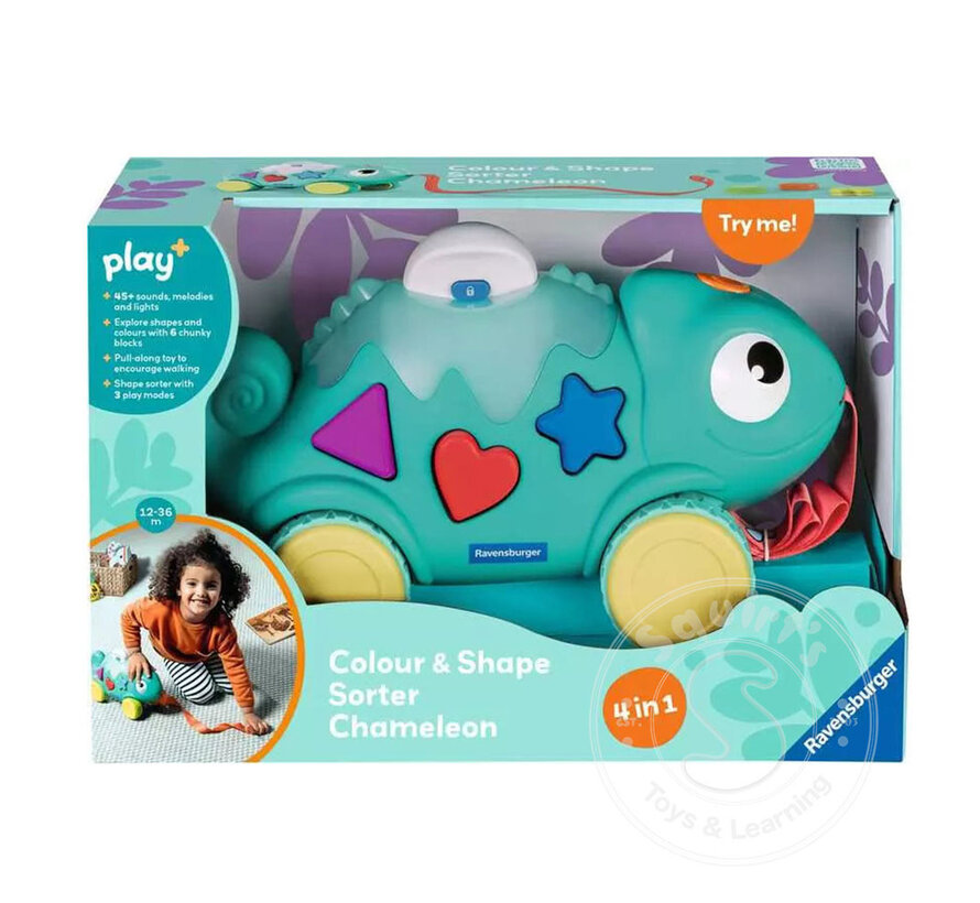 Color & Shape Sorter: Chameleon