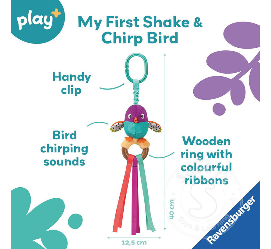 Shake & Chirp: Bird