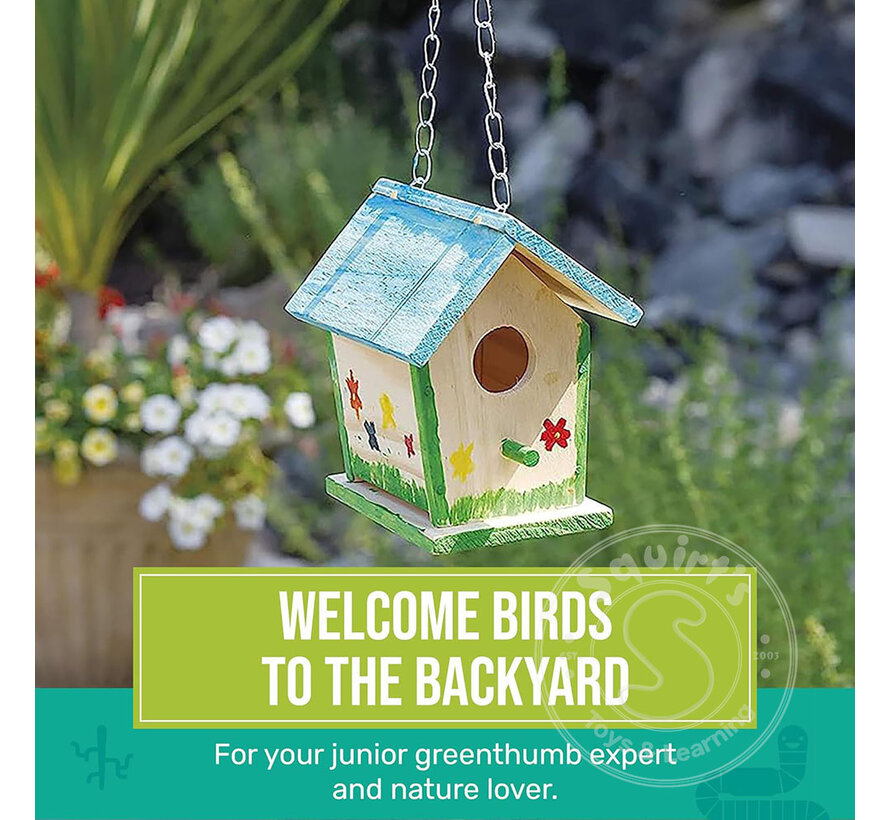 Build and Paint a Bird Bungalow