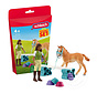Schleich Training set for foal & Sarah