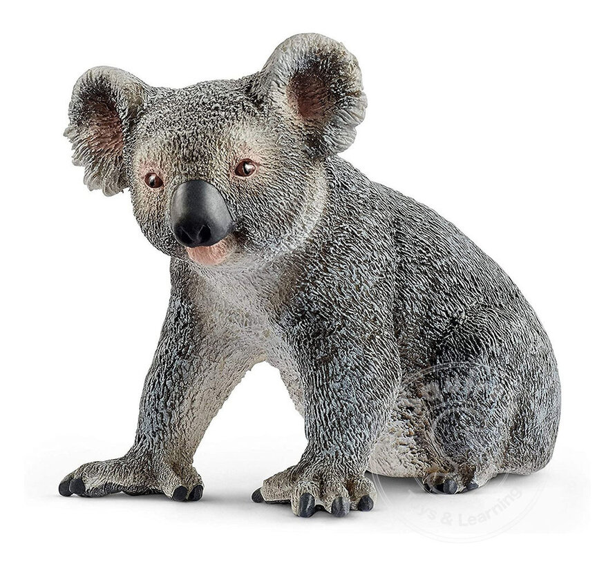 Schleich Koala bear - retired