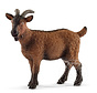 Schleich Goat - retired