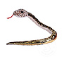 Wild Republic Sequin Leopard Snake  54"