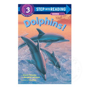 Step 3 Dolphins!
