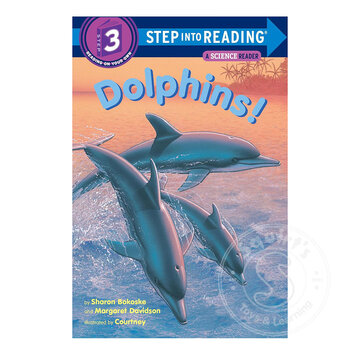 Step 3 Dolphins!