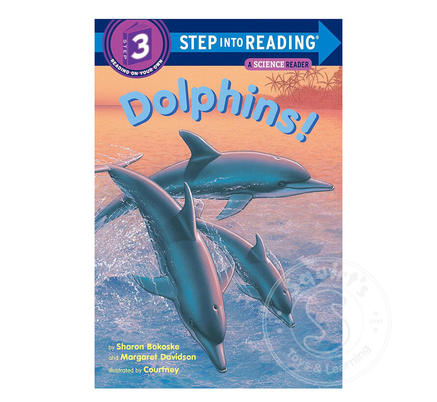 Step 3 Dolphins!