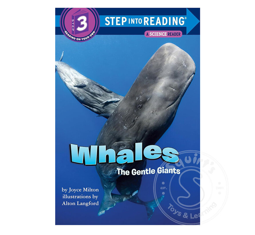Step 3 Whales: The Gentle Giants