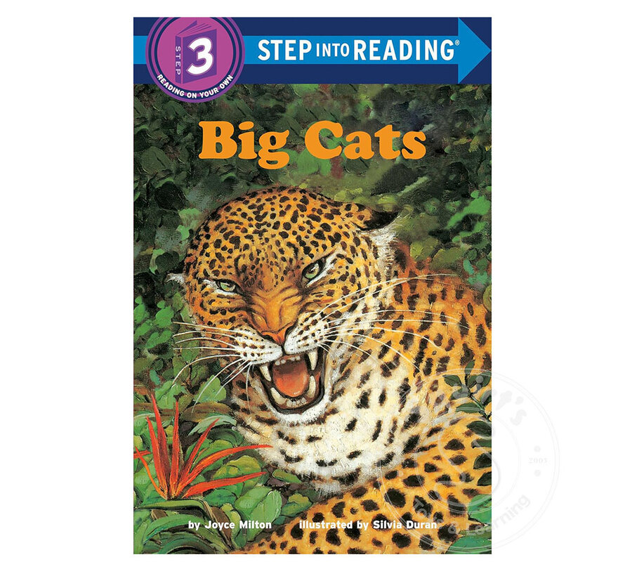 Step 3 Big Cats