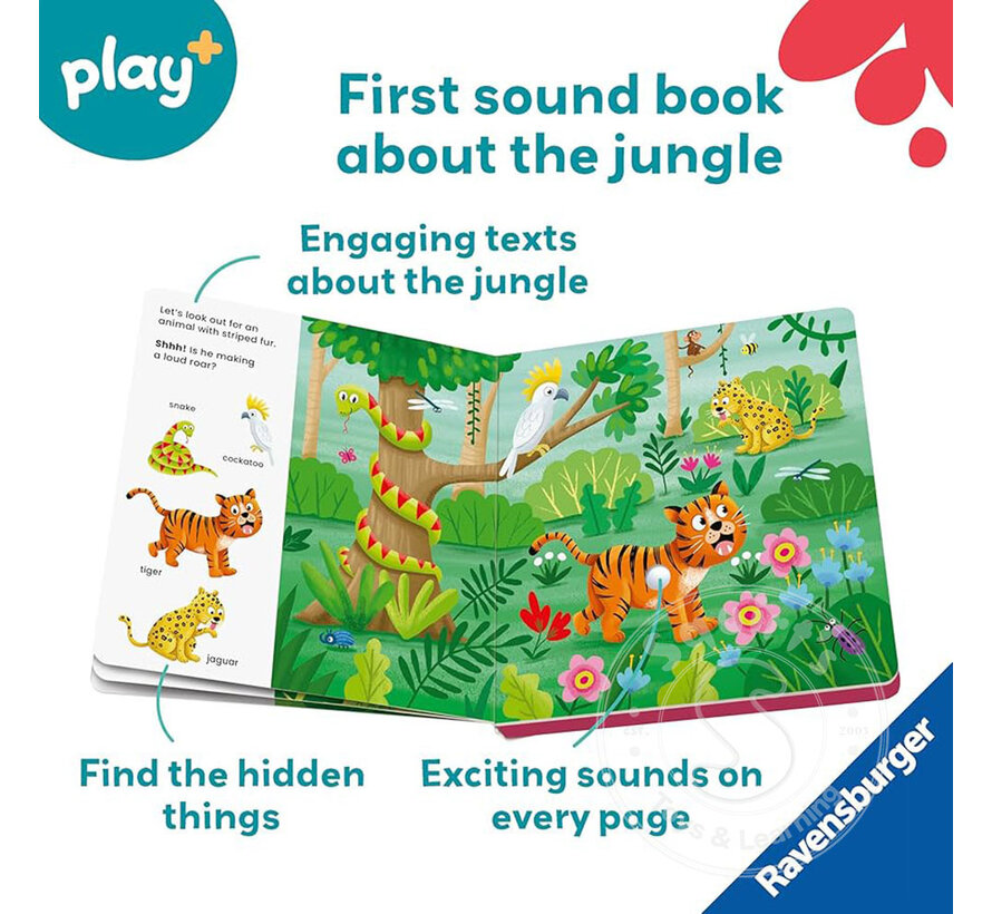 Shh… Who's There? Jungle Animals
