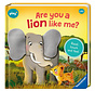 Are You A Lion Like Me?