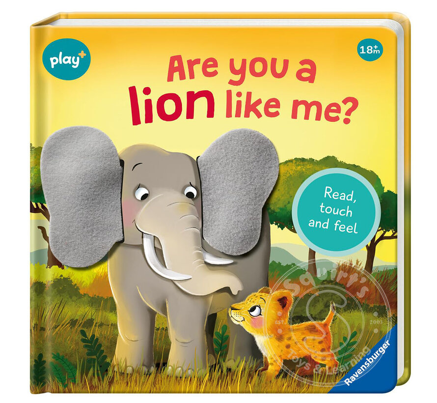 Are You A Lion Like Me?