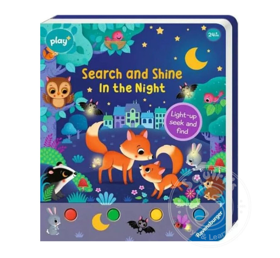 Search and Shine: In the Night