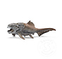 Schleich Dunkleosteus - Retired