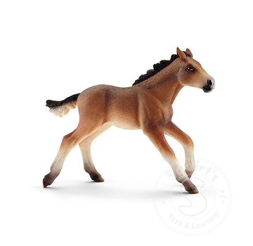 Schleich Schleich Mustang foal - Retired