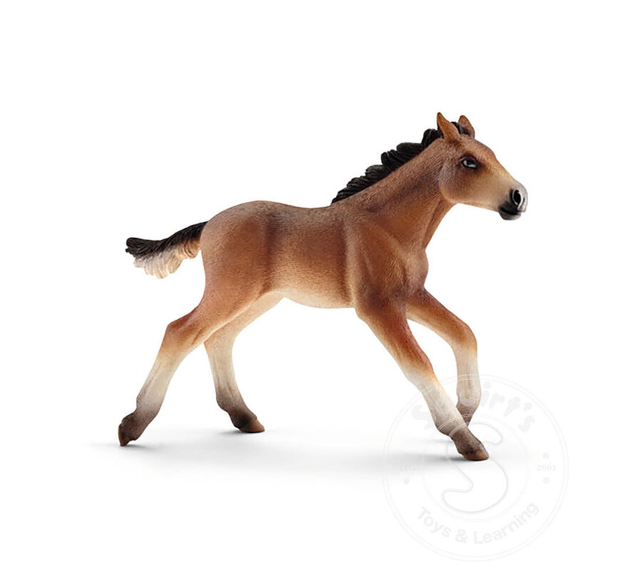 Schleich Mustang foal - Retired