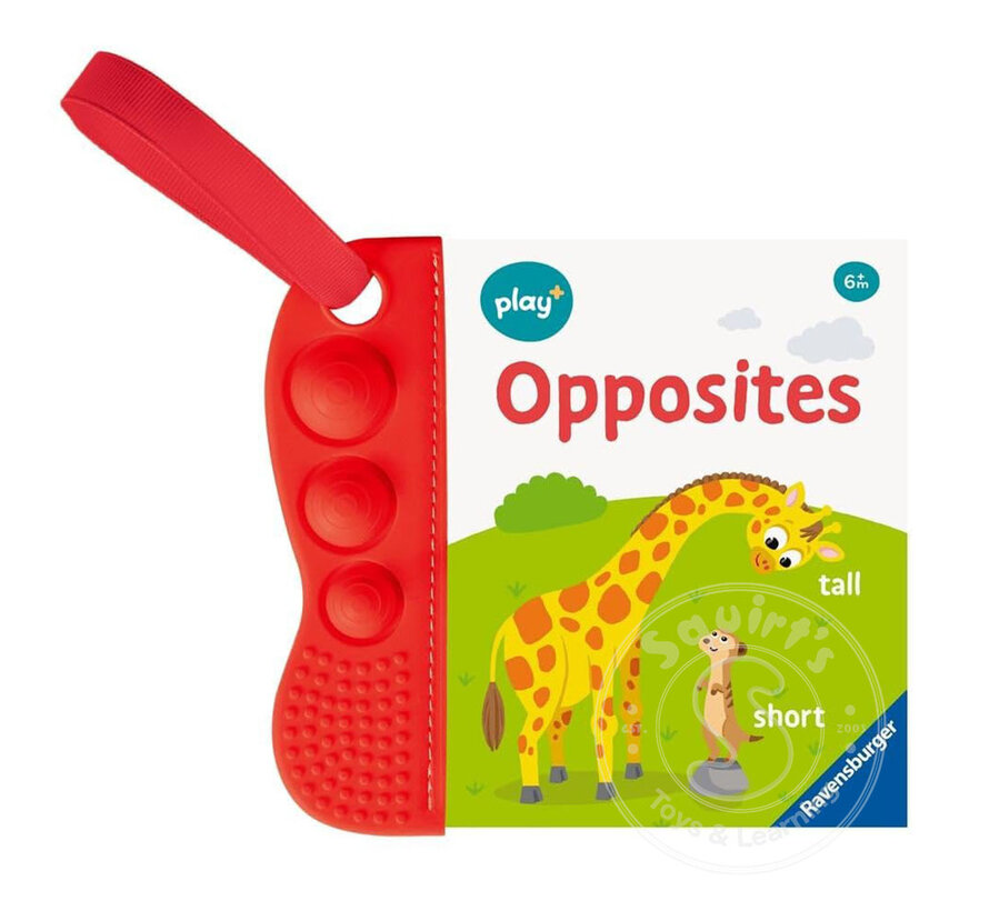 Flip & Pop: Opposites
