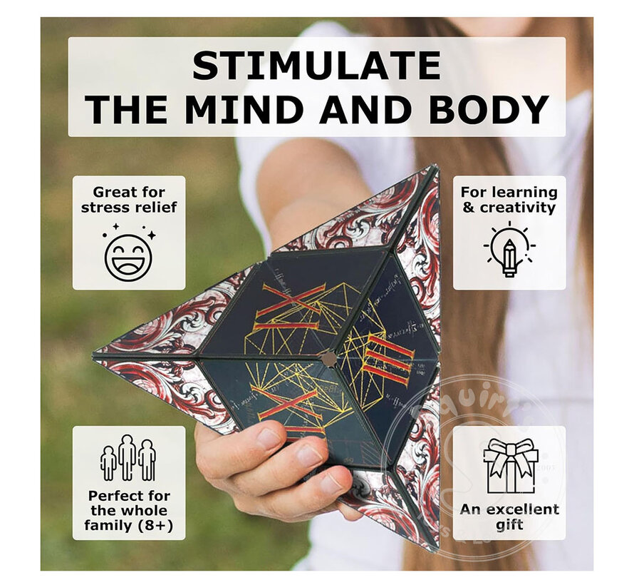 Shashibo: Shape Shifting Box, Renaissance