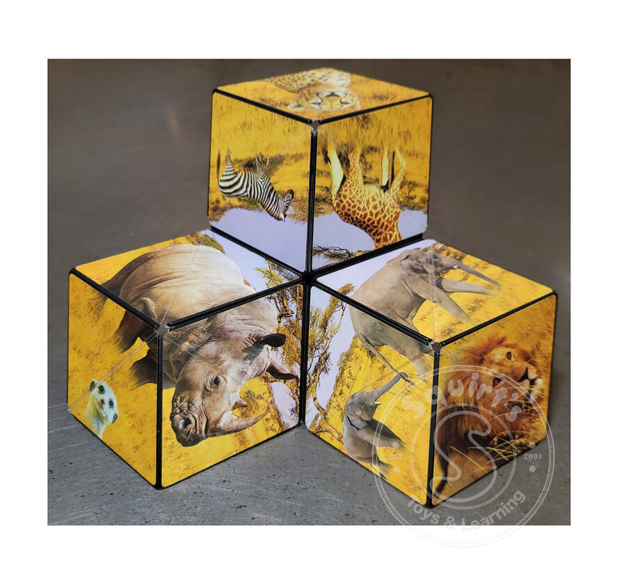 Shashibo: Shape Shifting Box, Savanna