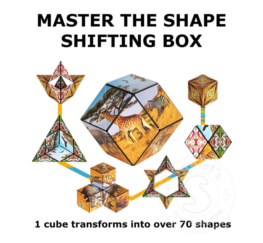 Shashibo: Shape Shifting Box, Savanna