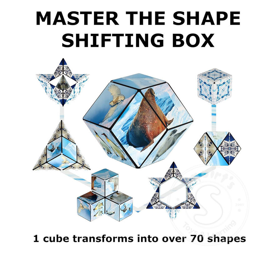 Shashibo: Shape Shifting Box, Arctic