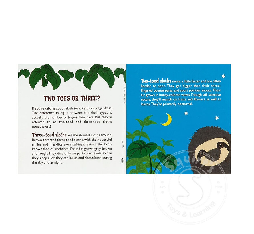 Hug a Sloth Kit