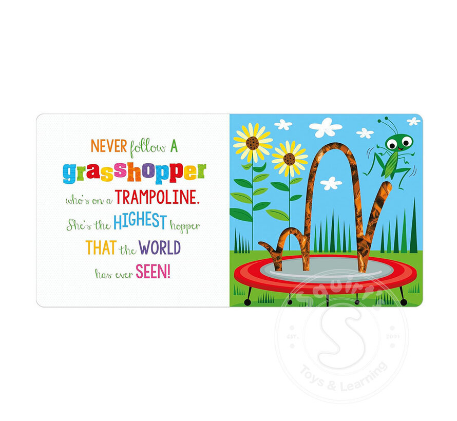 Never Follow A Spider! - Board Book