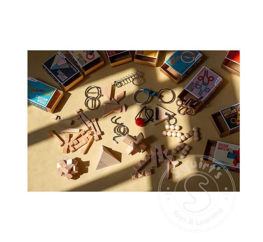 Brain Matches - Assorted Puzzle Boxes