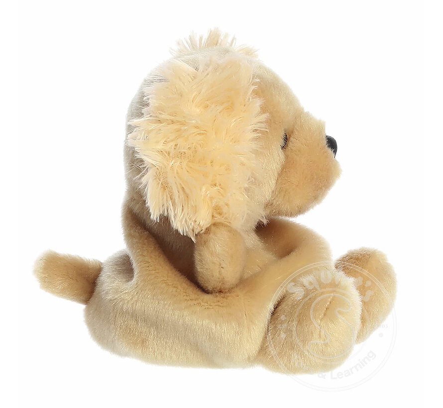 Palm Pals Oatmeal Goldendoodle