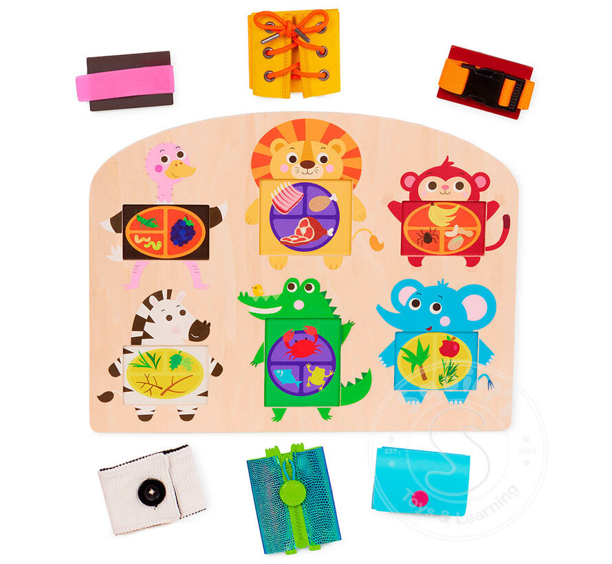 Battat Education - What's in my Tummy?