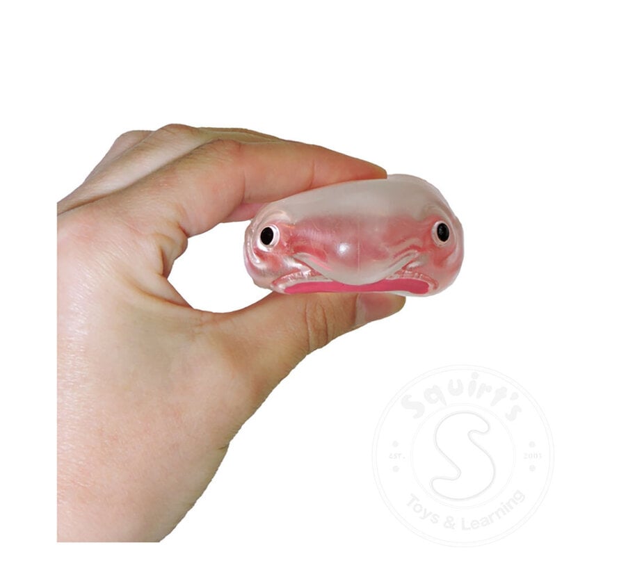 Tiny Toys Itty Bitty Squidgy Oddity