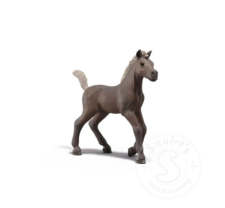 Schleich HC Collectible Foals - Darcy