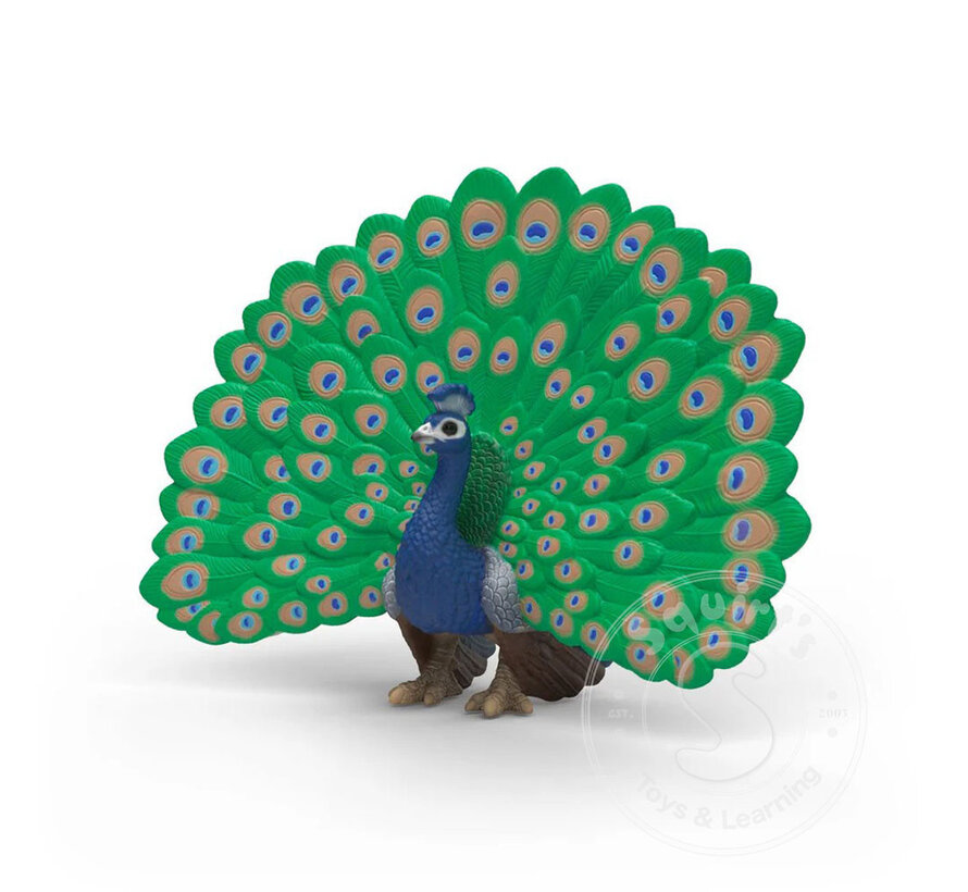 Schleich Peacock
