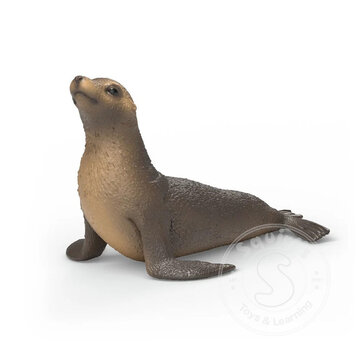 Schleich Schleich Sea lion