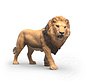 Schleich African Lion