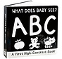 What Does Baby See? ABCs