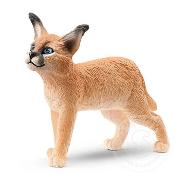 Schleich Caracal Cub - retired