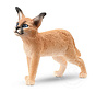 Caracal Cub - retired